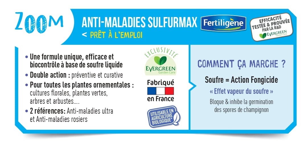 FERTILIGÈNE — Pulvérisateur anti-maladies rosiers 800 ml – Image 3