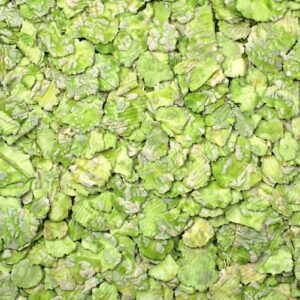 Alternative view of JR-FARM — Flocons de petits pois pour rongeurs