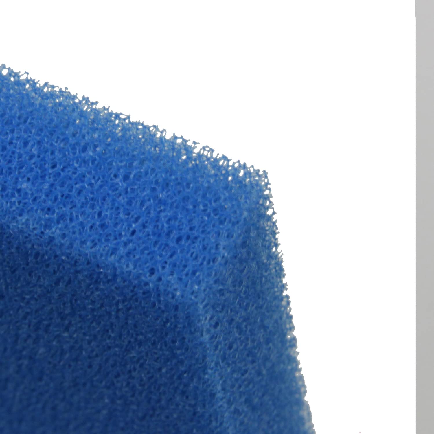 JBL — Mousse filtrante bleue maille fine 50 x 25 cm – Image 3