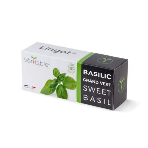 LINGOT — Recharge Basilic Grand Vert Bio