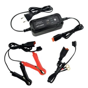 Alternative view of CHARGEUR DE BATTERIE — Maintien de charge 6V/12V