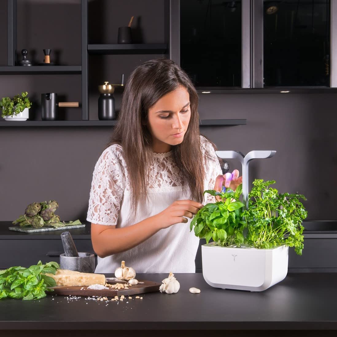EXKY Classic — Potager d’Intérieur avec 2 Lingots – Image 5