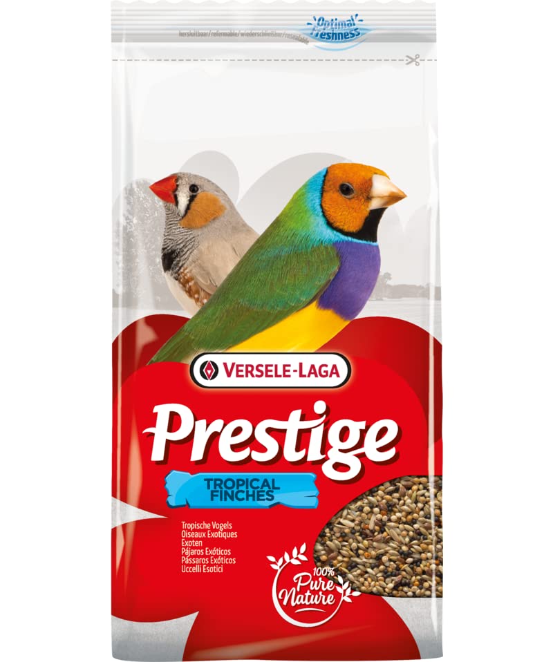 VERSELE LAGA Prestige Exoten — Nourriture pour Oiseaux 1kg – Image 2