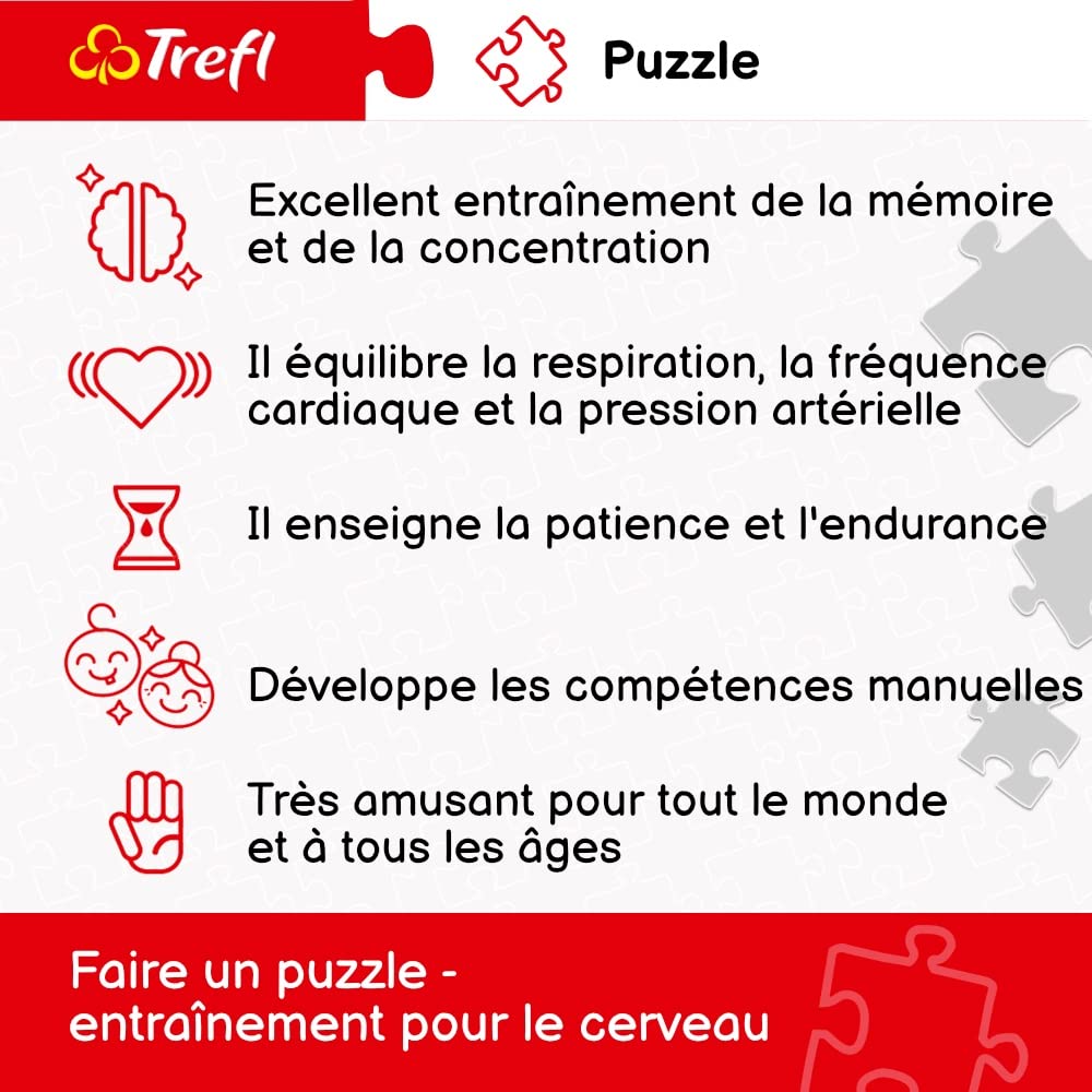 TREFL — Puzzle Cosmos 1000 pièces – Image 11