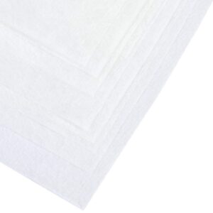 PAPSTAR — Lot de 10 tamis et filtres en papier 100 x 100 cm