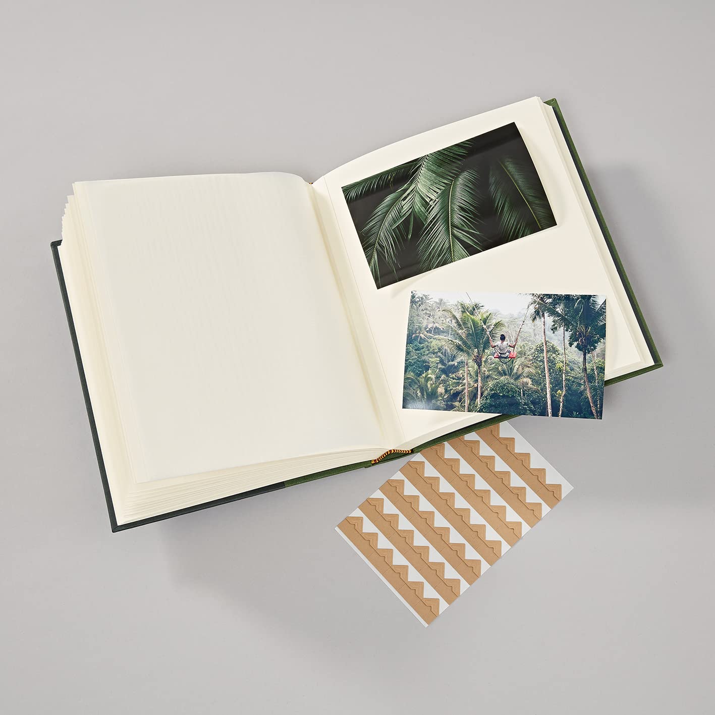 SEMIKOLON Natural Affair — Album photo 160 photos Botanic – Image 9