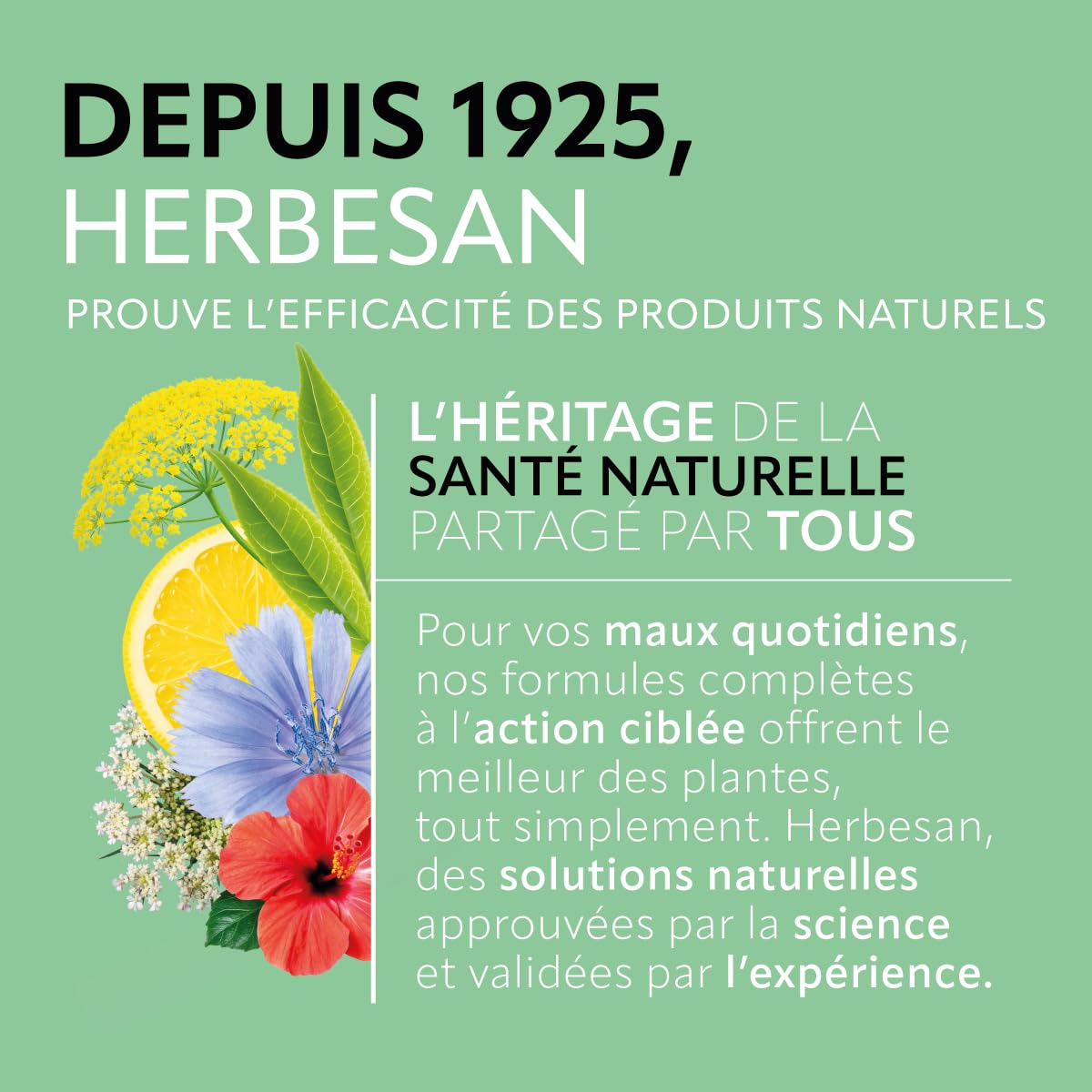 HERBESAN — Infusion Détox Bio Citron 20 sachets – Image 5