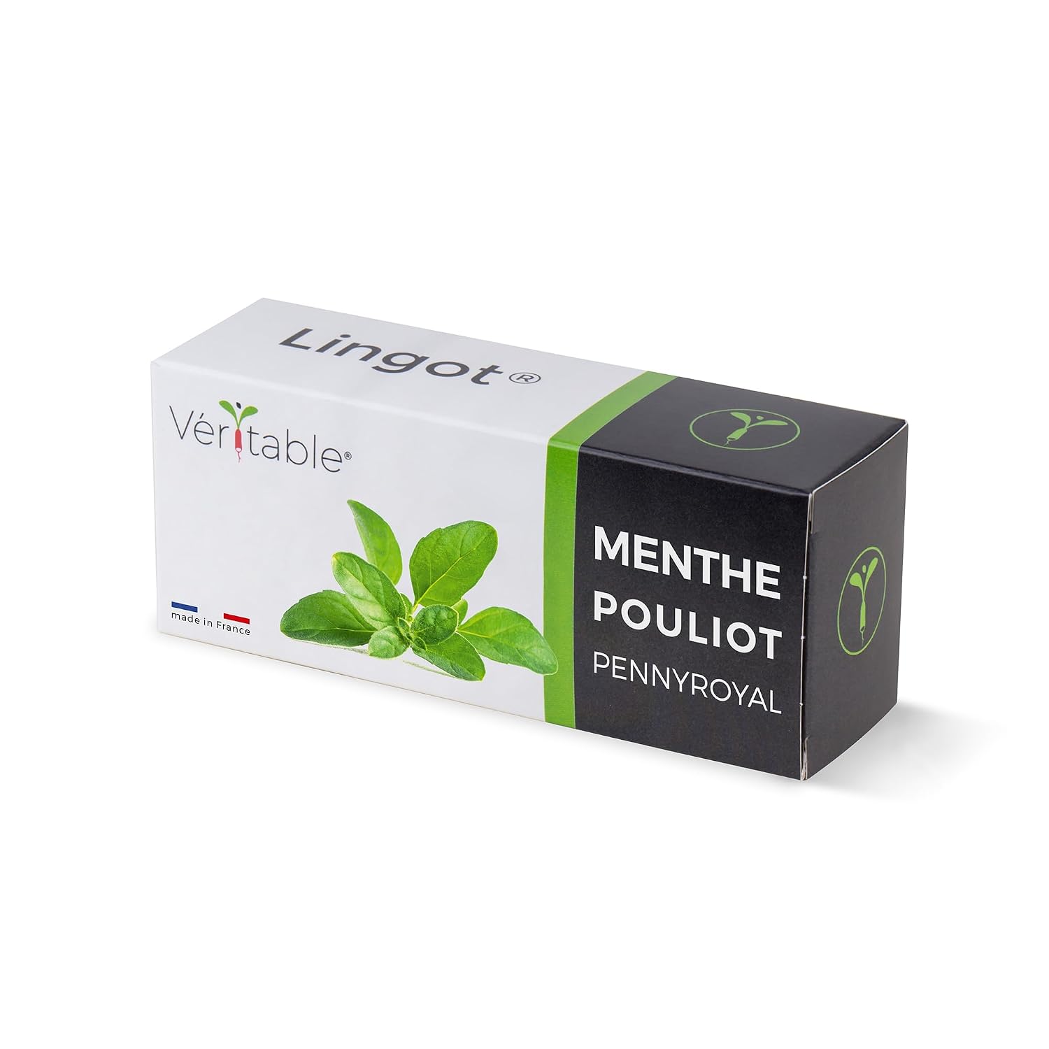 LINGOT — Recharge Menthe Pouliot compatible Véritable et Exky – Image 7