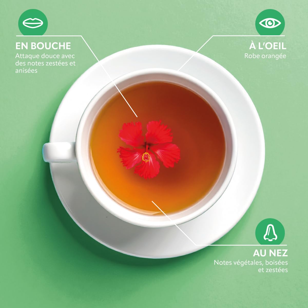HERBESAN — Infusion Détox Bio Citron 20 sachets – Image 6