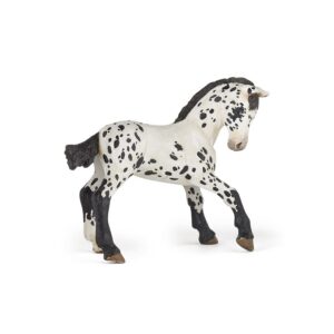 PAPO — Figurine Poulain Appaloosa noir