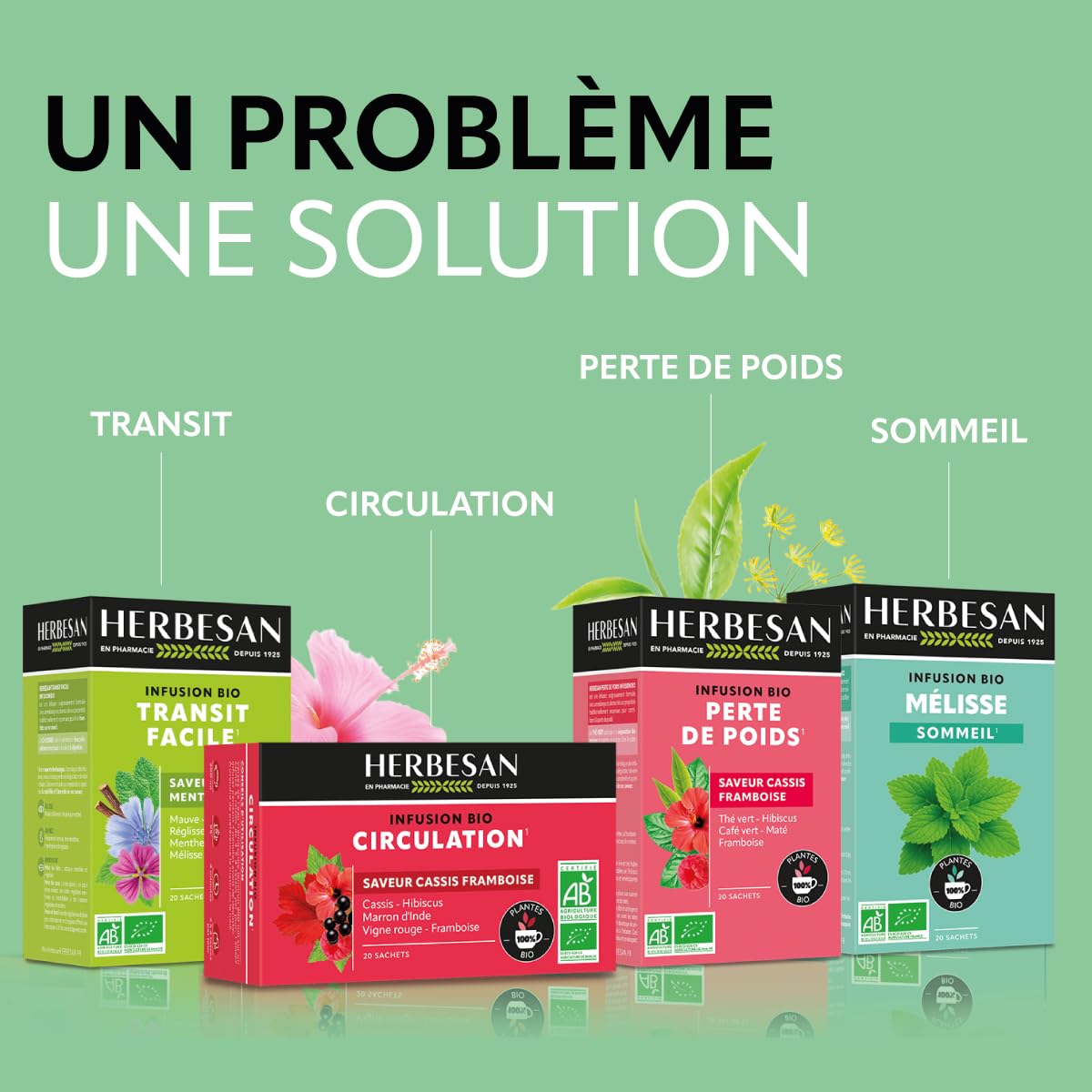 HERBESAN — Infusion Détox Bio Citron 20 sachets – Image 7