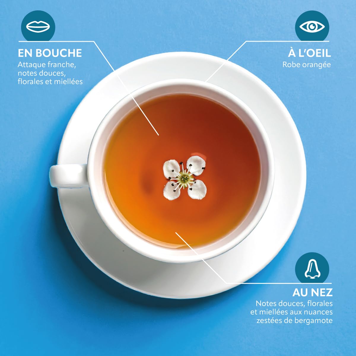 HERBESAN — Infusion Nuit Paisible Bio 20 sachets – Image 6