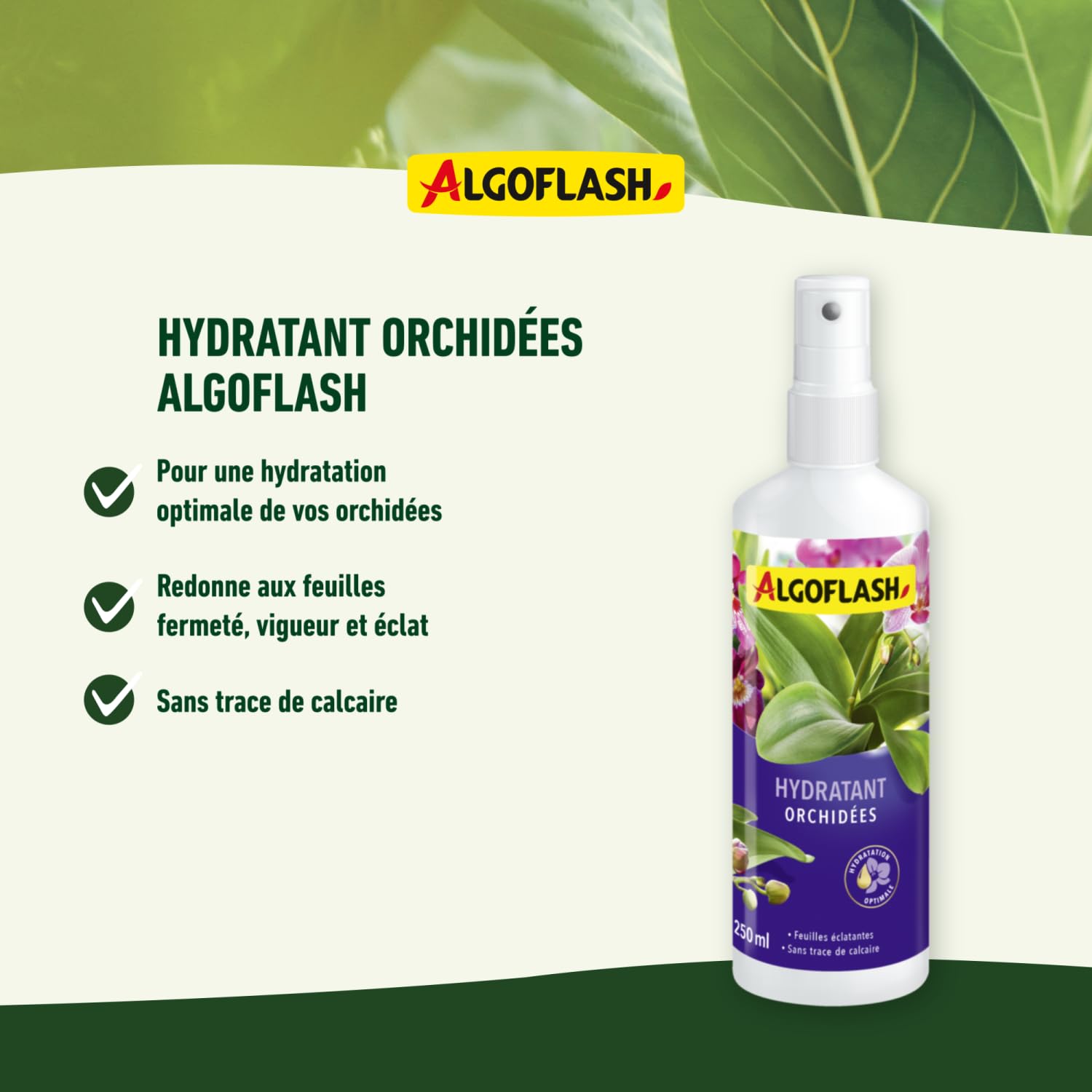 ALGOFLASH — Hydratant Orchidées 250 ml – Image 9