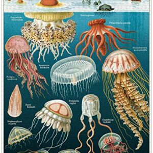 Alternative view of CAVALLINI Papers & Co. — Puzzle Jelly Fish 1000 pièces