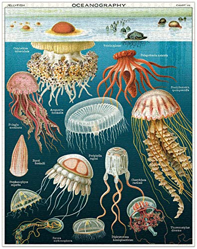 CAVALLINI Papers & Co. — Puzzle Jelly Fish 1000 pièces – Image 6