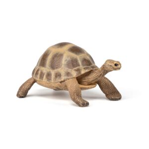 PAPO La Vie Sauvage — Figurine tortue d’Hermann réaliste