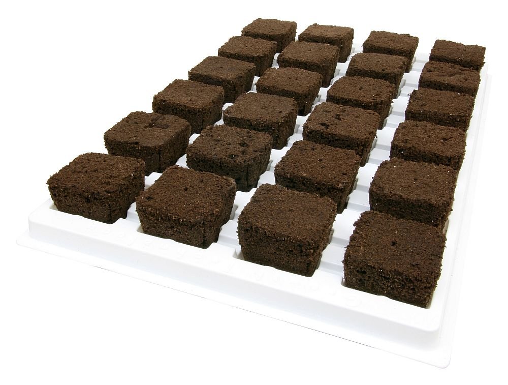 ROOT RIOT — Plateau de 24 cubes – Image 2