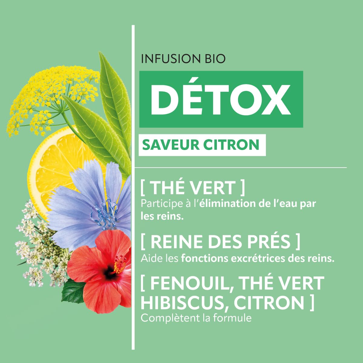 HERBESAN — Infusion Détox Bio Citron 20 sachets – Image 2