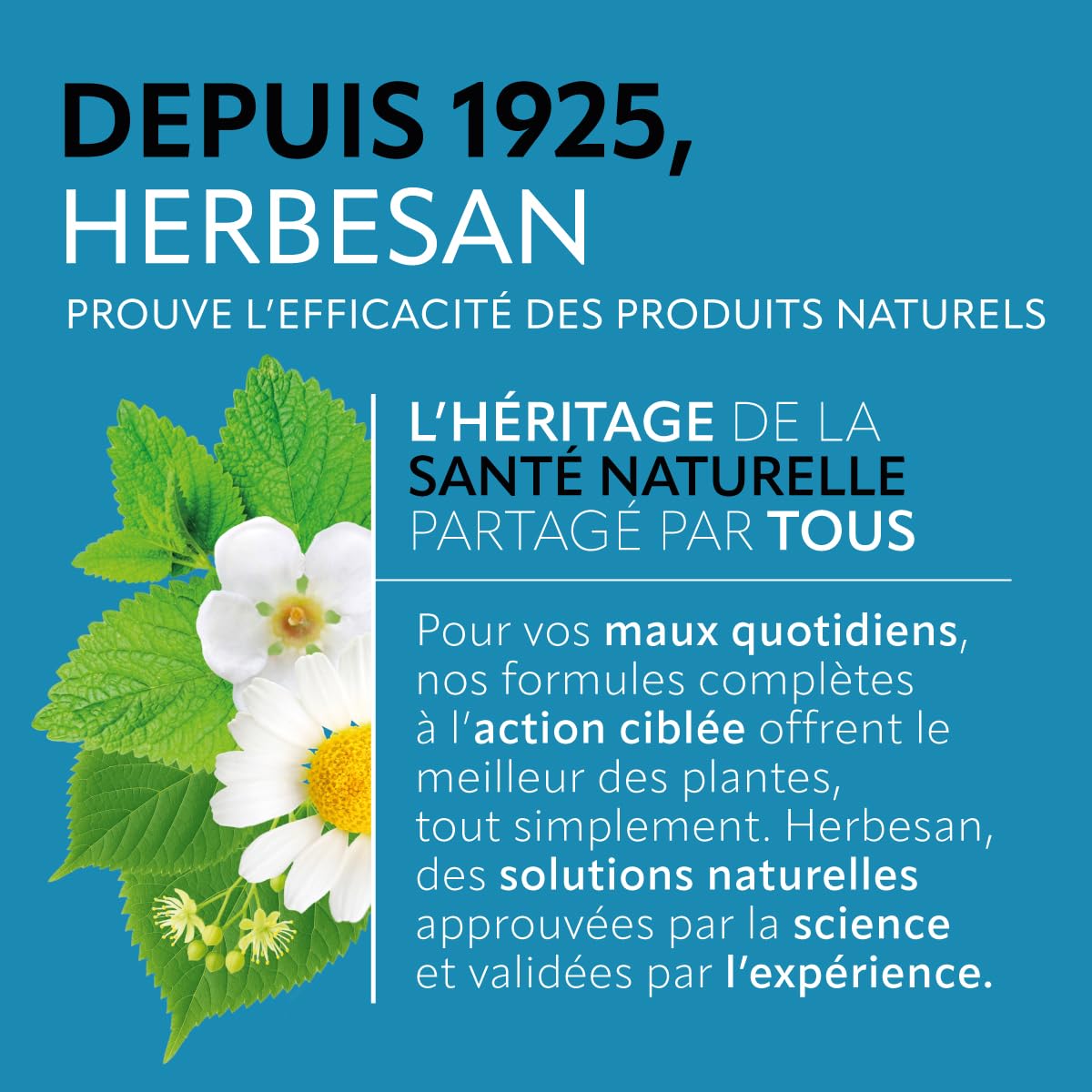 HERBESAN — Infusion Nuit Paisible Bio 20 sachets – Image 5