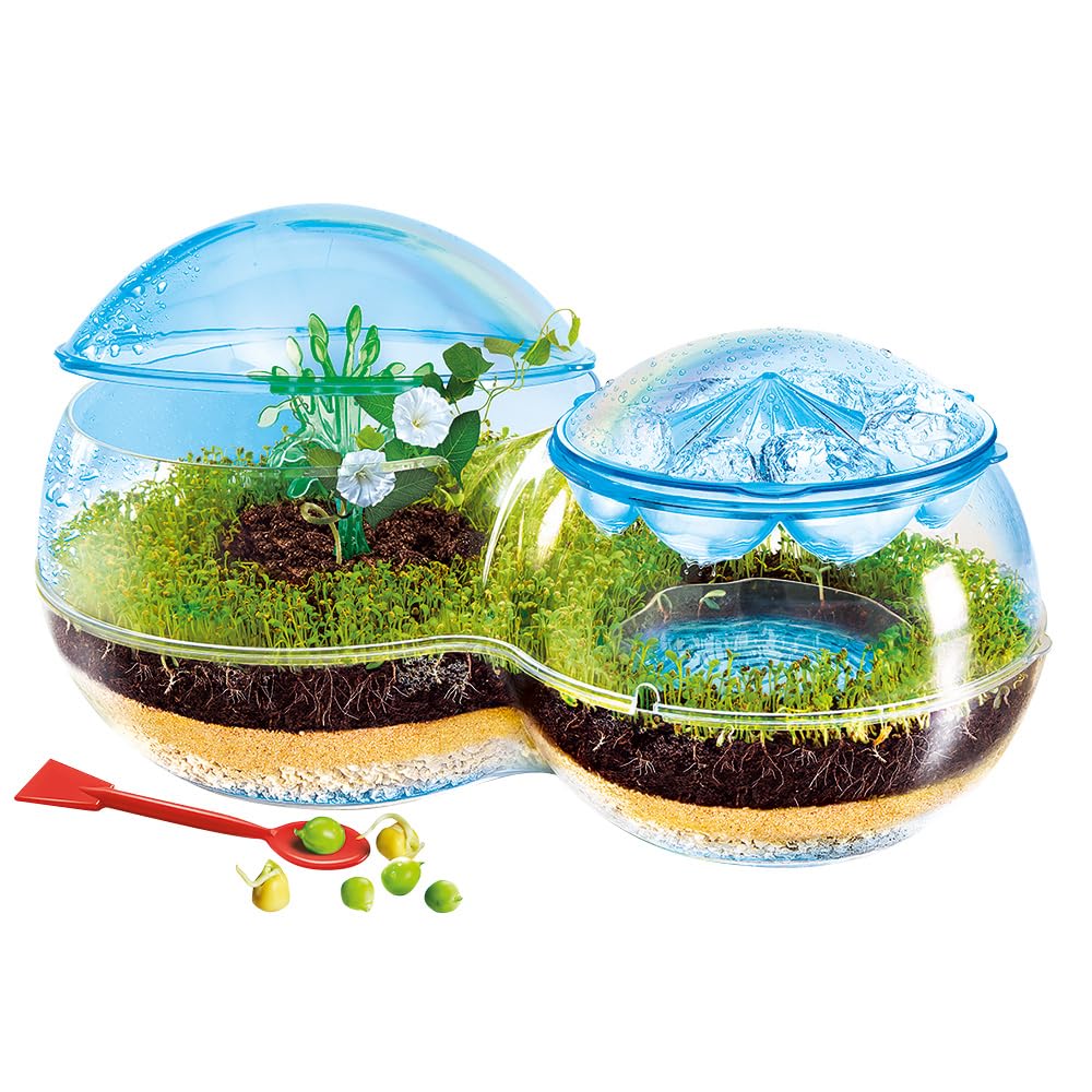 CLEMENTONI Science et Jeu — Biosphère Cycle de l’eau – Image 24
