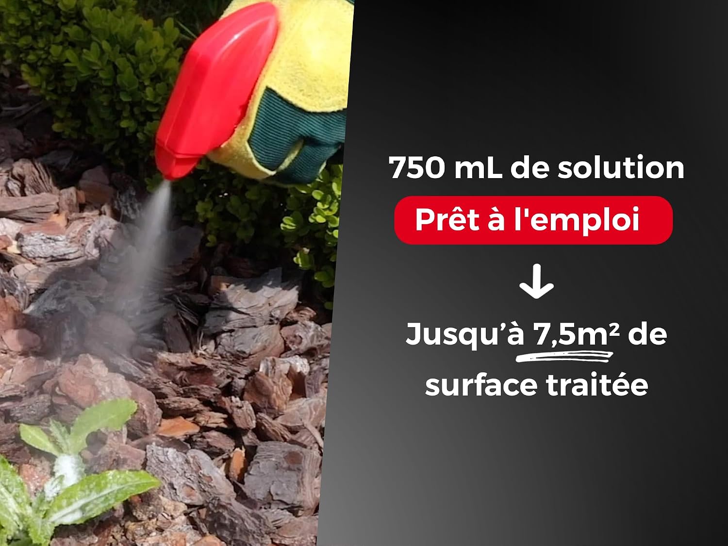 PROTECT EXPERT — Désherbant prêt à l'emploi 750ml – Image 14