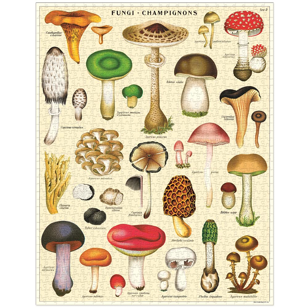 CAVALLINI & CO. — Puzzle 1000 Pièces Champignons Vintage – Image 4