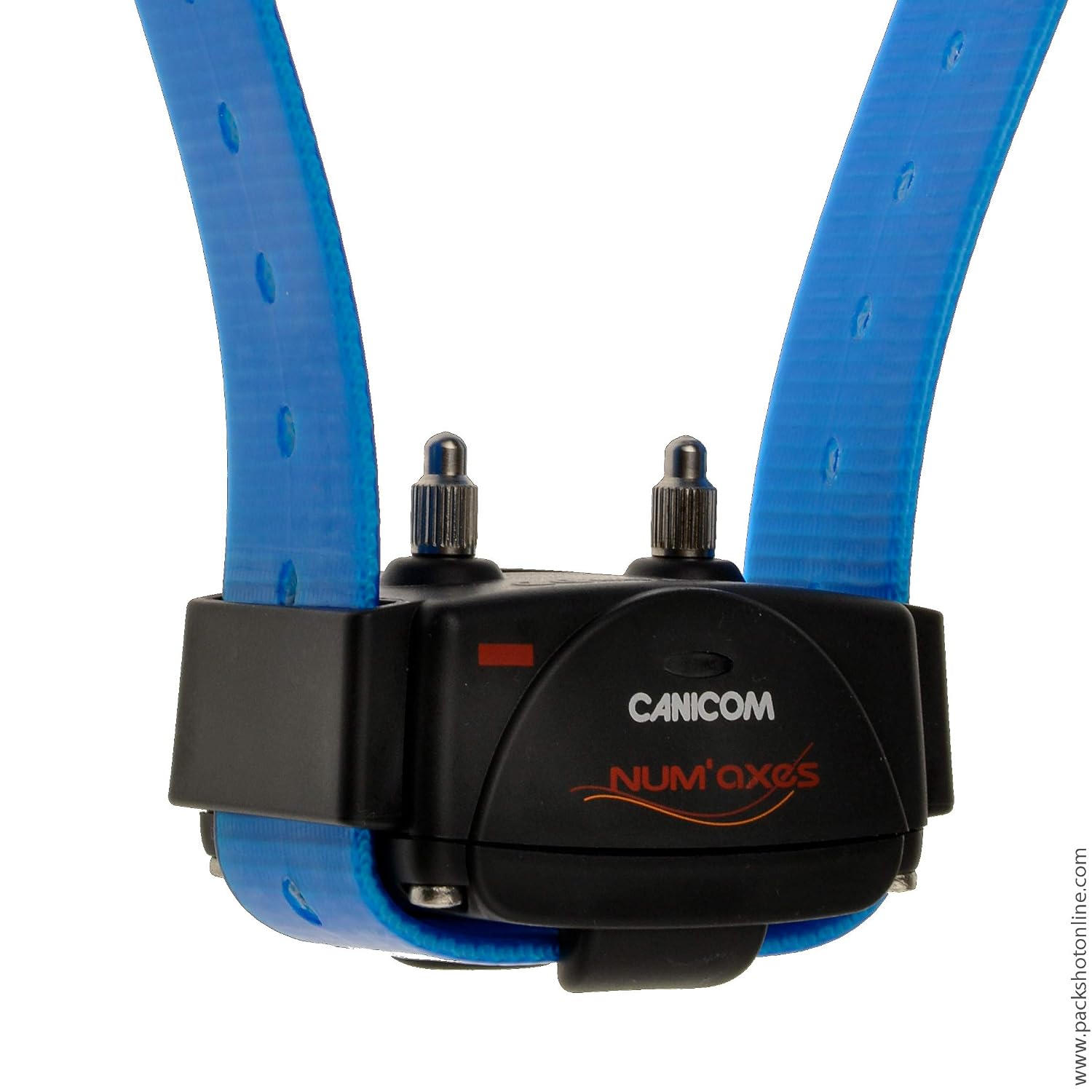 CANICOM — Collier de Dressage Supplémentaire Sangle Bleue – Image 7
