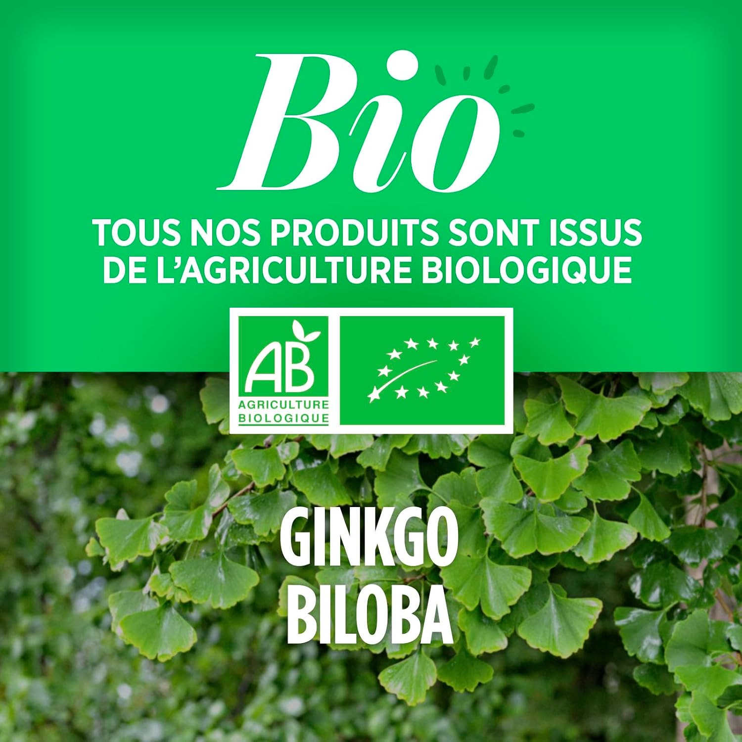 GINKGO BILOBA BIO — Comprimés 300 mg x200 – Image 14