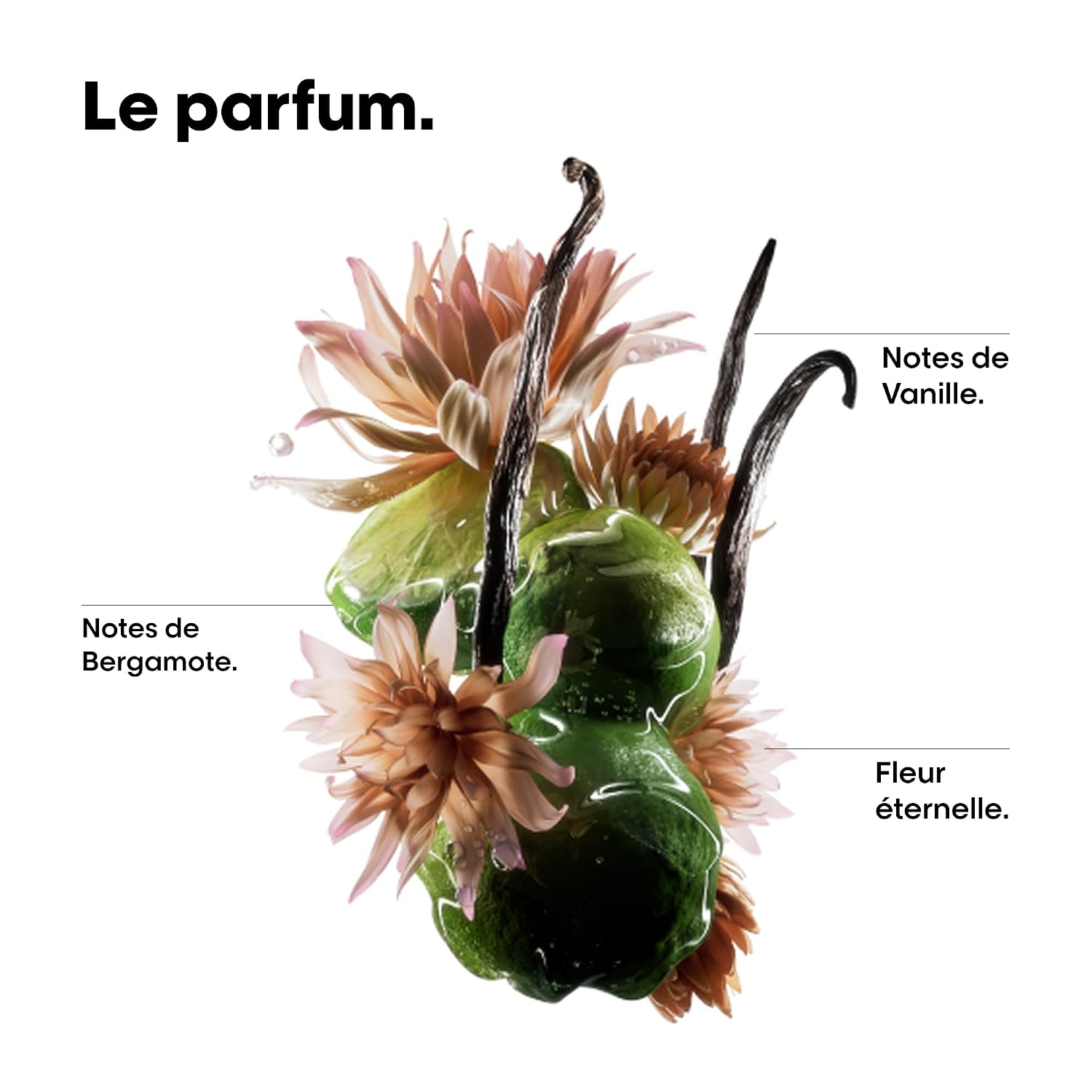 L'OREAL PROFESSIONNEL Absolut Repair — Huile cheveux 90 ml – Image 5