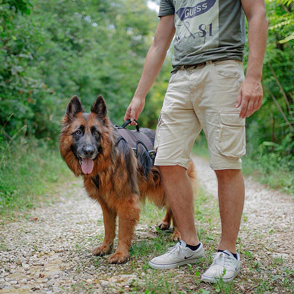 FERPLAST Ergotrekking — Harnais ergonomique pour chien L – Image 2