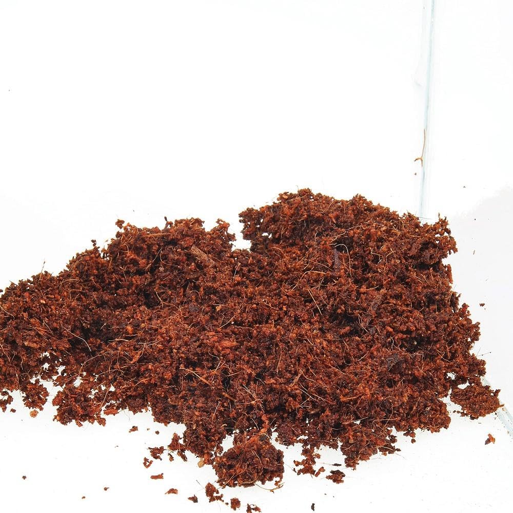 JBL TerraCoco — Substrat d'Humus de Coco 600g 9l – Image 3