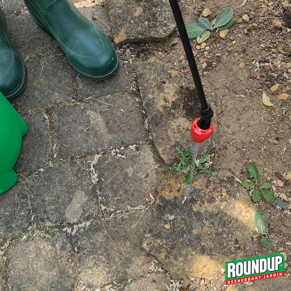 ROUNDUP RMU200N — Désherbant Jardin 2 en 1 200 ml – Image 13
