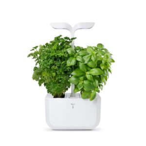 EXKY Classic — Potager d’Intérieur avec 2 Lingots