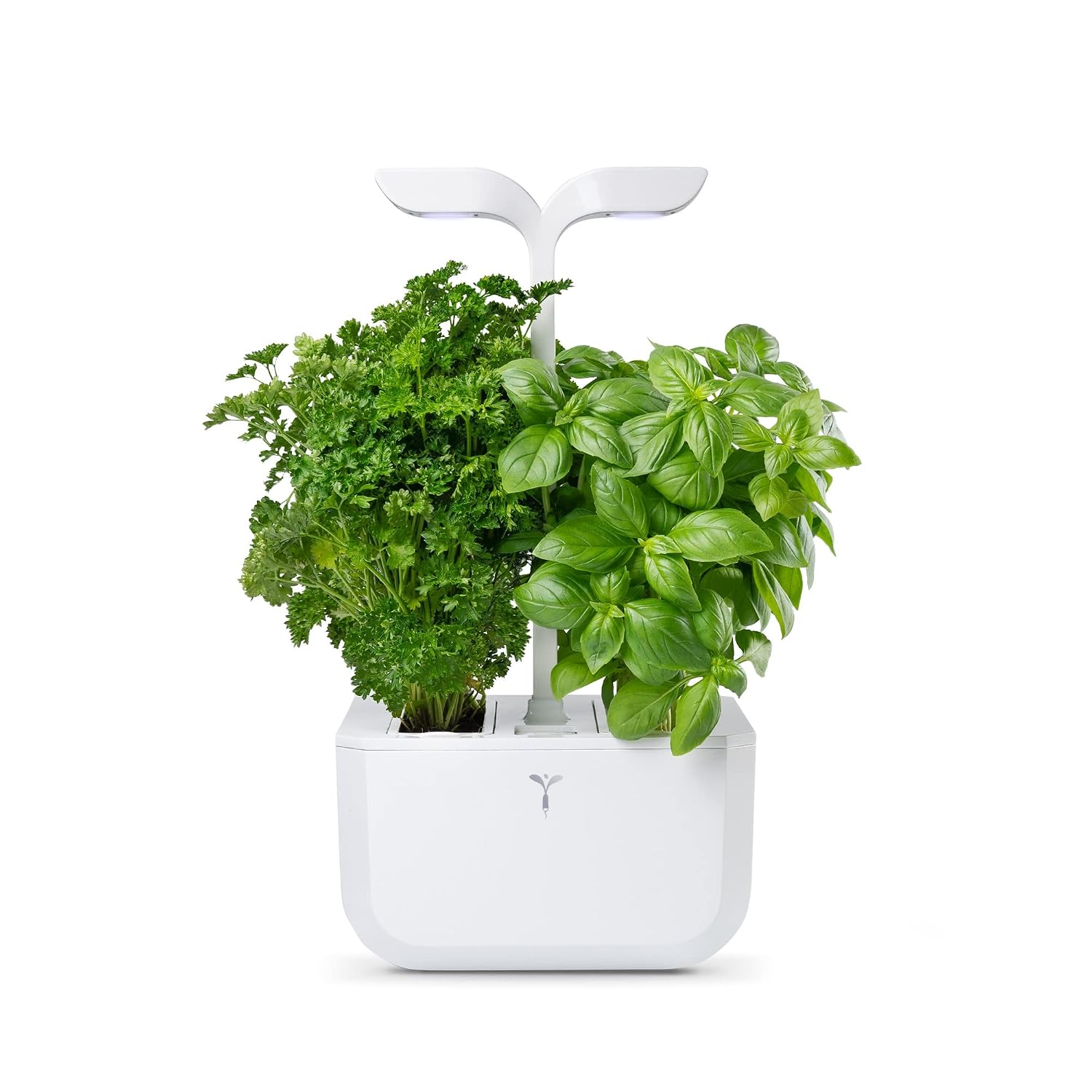 EXKY Classic — Potager d’Intérieur avec 2 Lingots