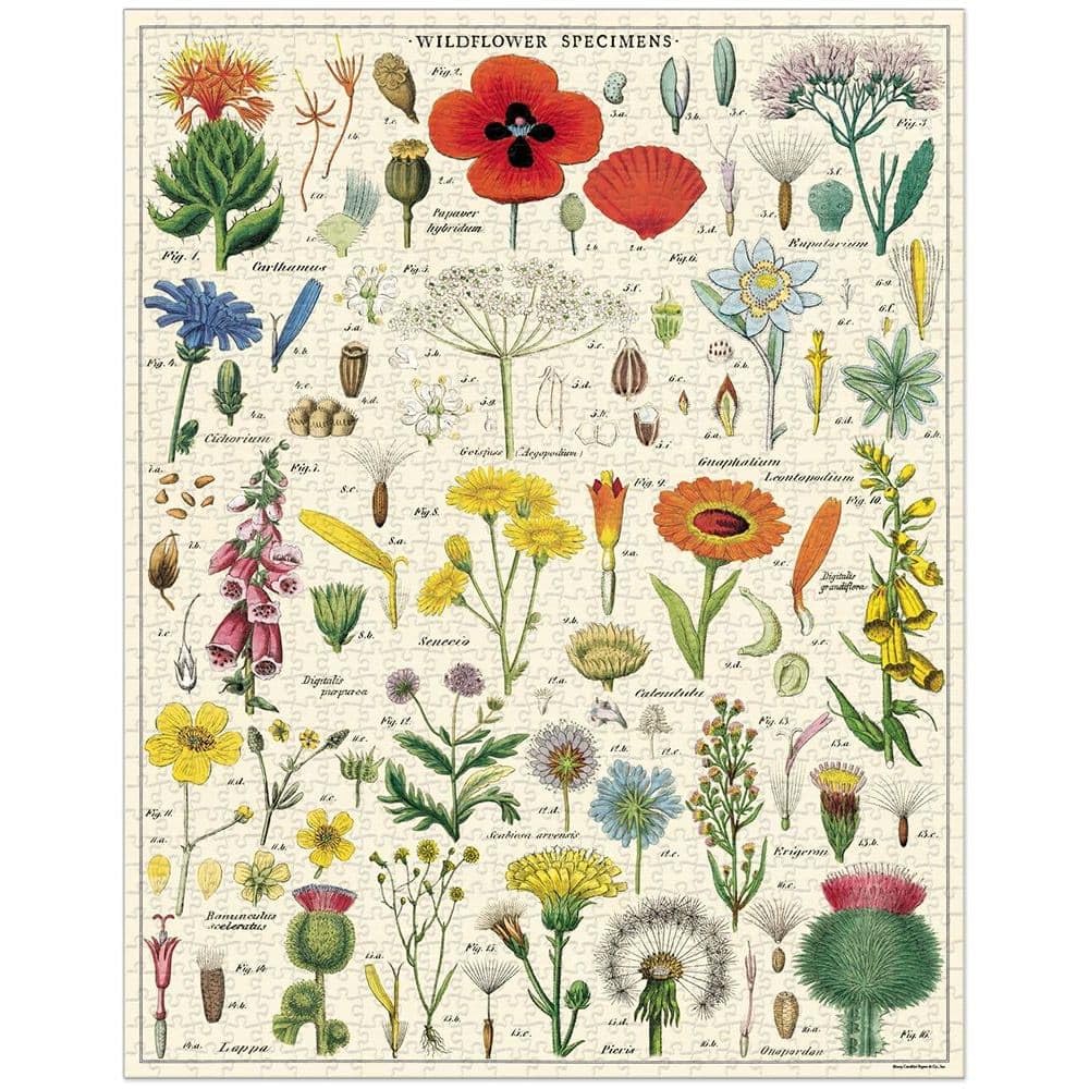 CAVALLINI — Puzzle 1000 pièces Wildflowers – Image 2