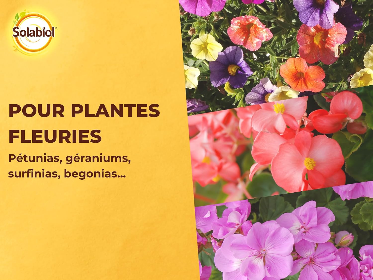 SOLABIOL — Engrais Géraniums et Plantes Fleuries 750g – Image 4