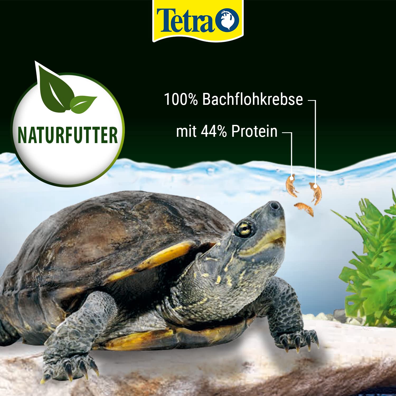 TETRA Gammarus — Aliment naturel pour tortues aquatiques 4L## – Image 4