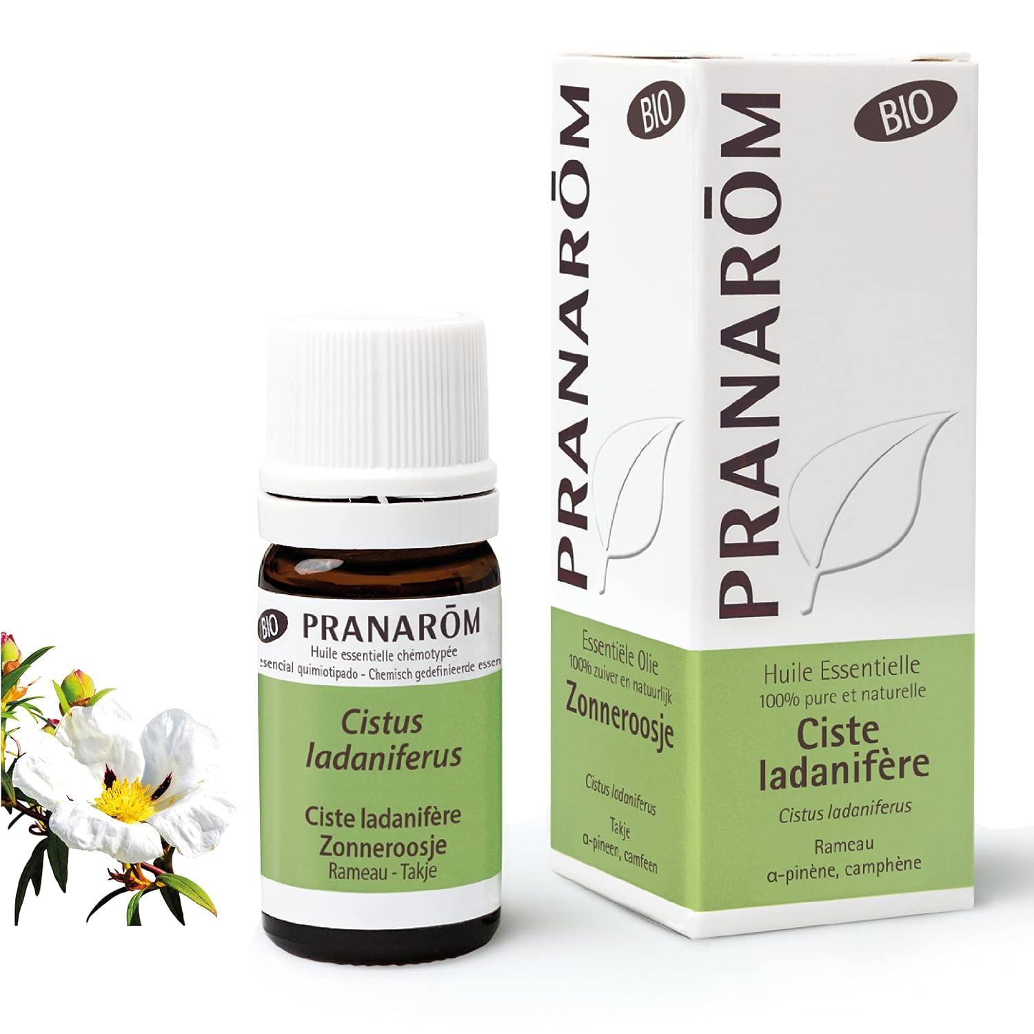 Ciste ladanifère bio (Cistus ladaniferus) - 5 ml
