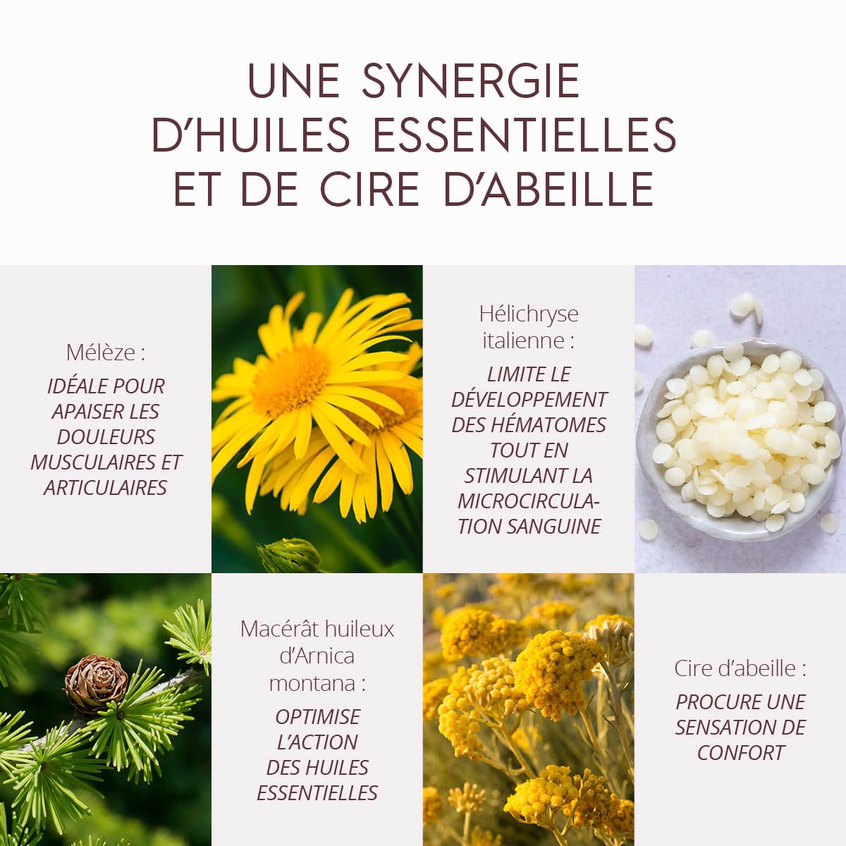 ENEA SENS — Baume de Soin SOS Arnica Bio 30 ml – Image 3