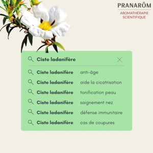 Alternative view of Ciste ladanifère bio (Cistus ladaniferus) - 5 ml