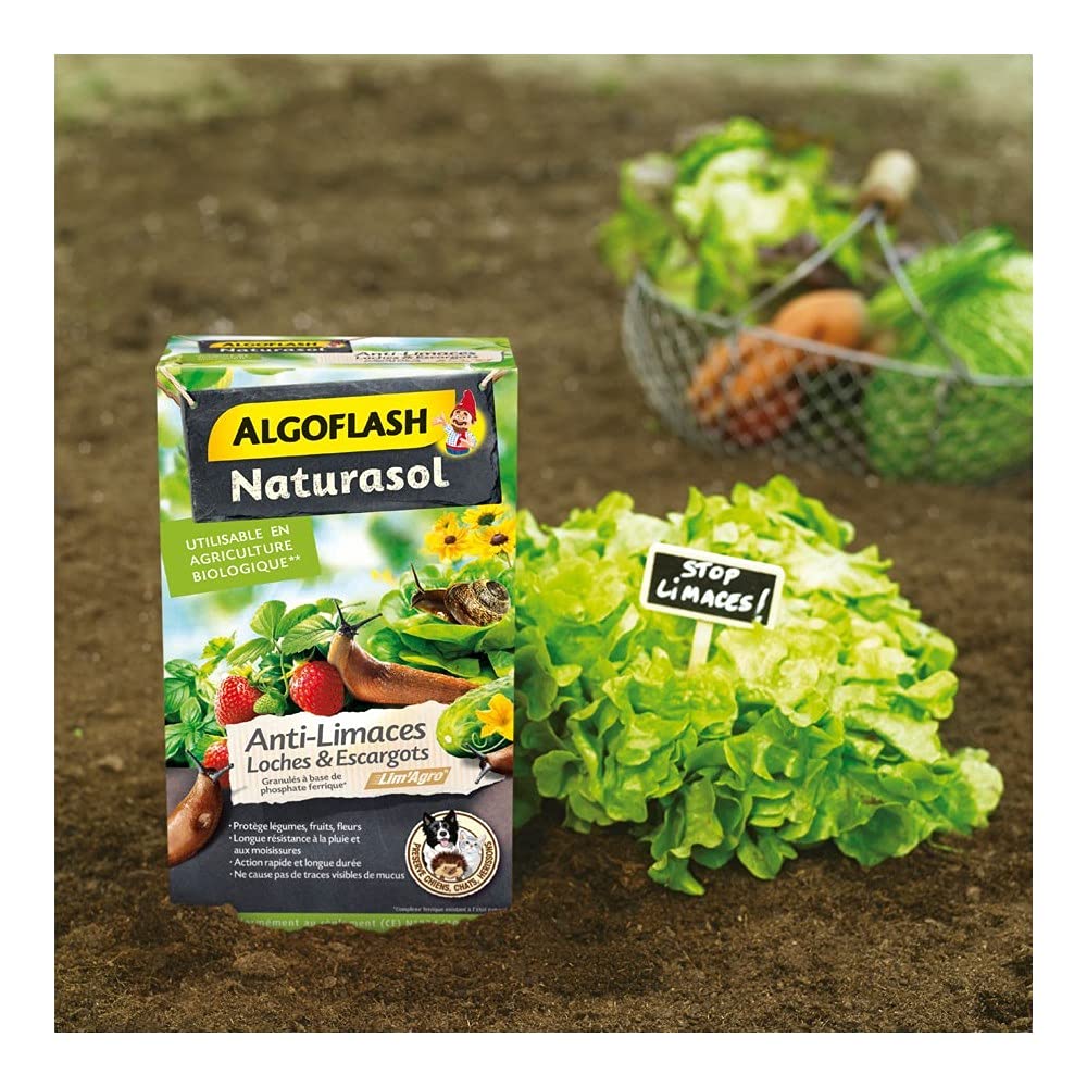 ALGOFLASH — Anti-limaces loches et escargots 400 g – Image 6