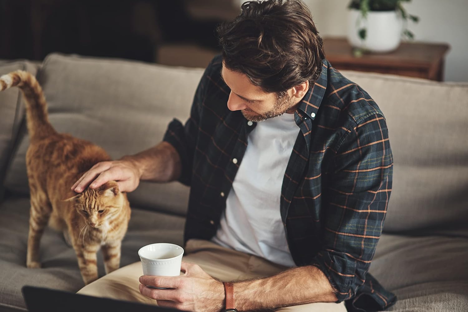 Dokas Cat Snack Hühnerherzen gefriergetr. 15g (Menge: 6 Je Bestelleinheit) – Image 6