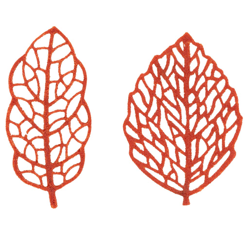 SILIKOMART Foresta — Moule en Silicone Feuilles 66x30 mm – Image 11