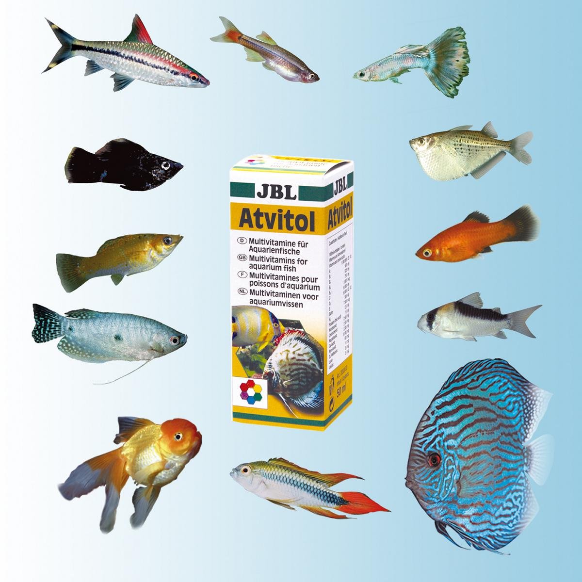 JBL Atvitol — Multivitamines pour poissons 50ml – Image 26