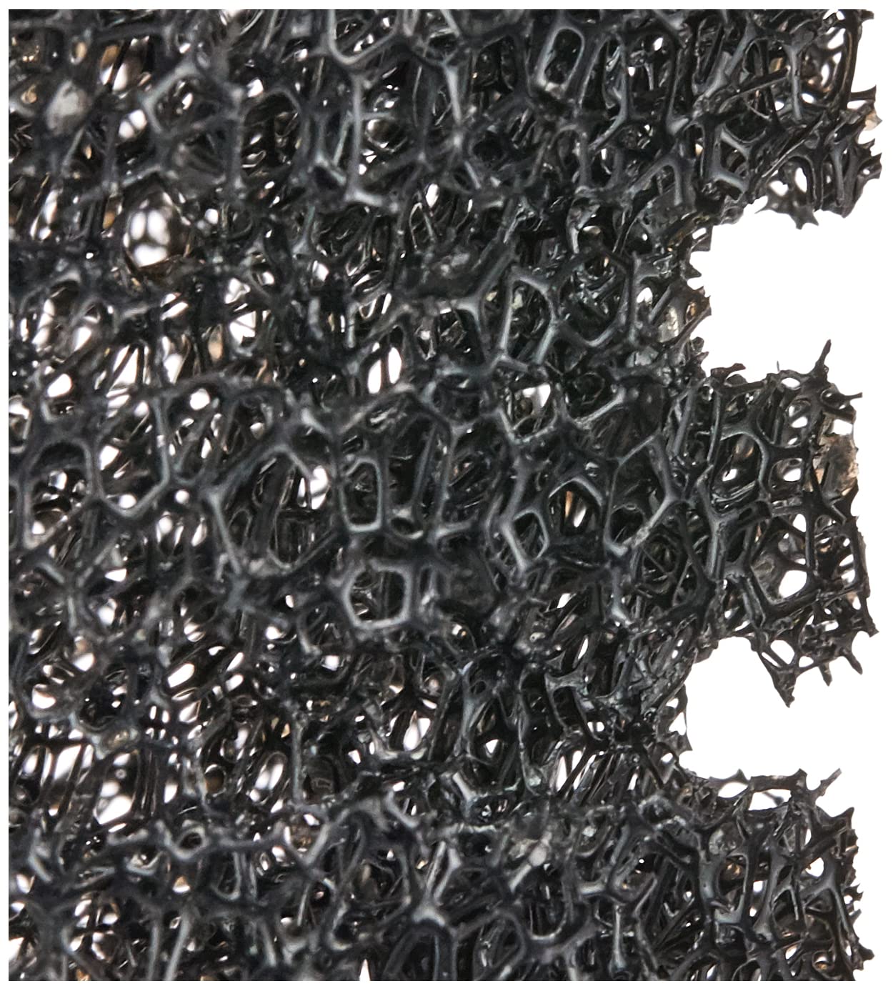 TETRA EX Plus — Mousse de préfiltration pour filtre extérieur – Image 8