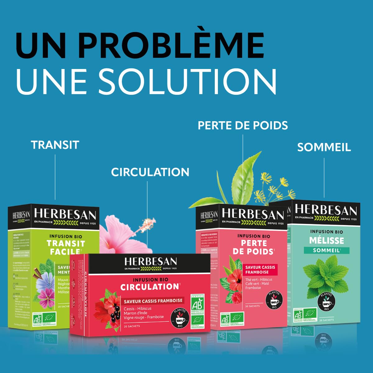 HERBESAN — Infusion Nuit Paisible Bio 20 sachets – Image 7
