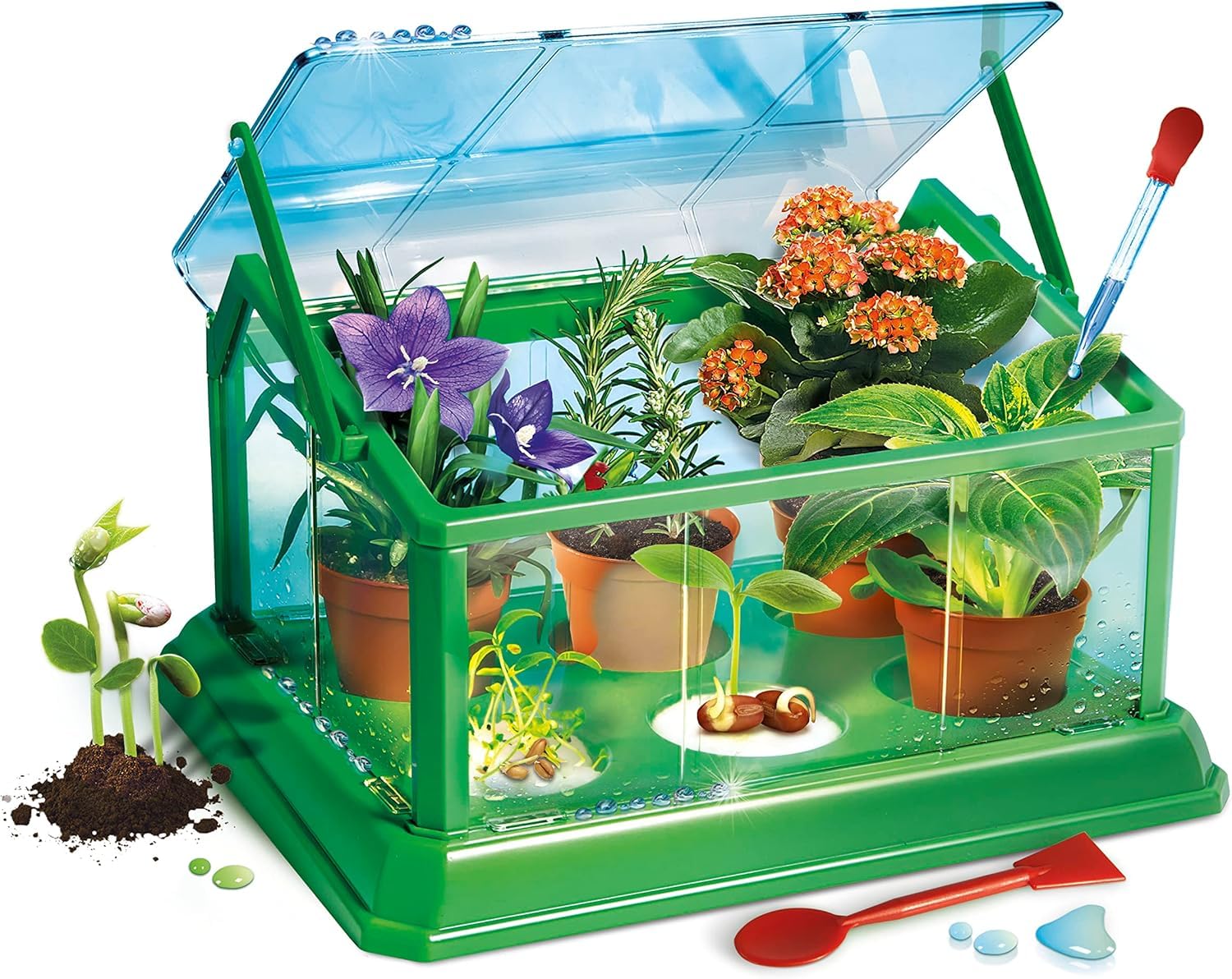 CLEMENTONI — Ma première serre de botanique – Image 23