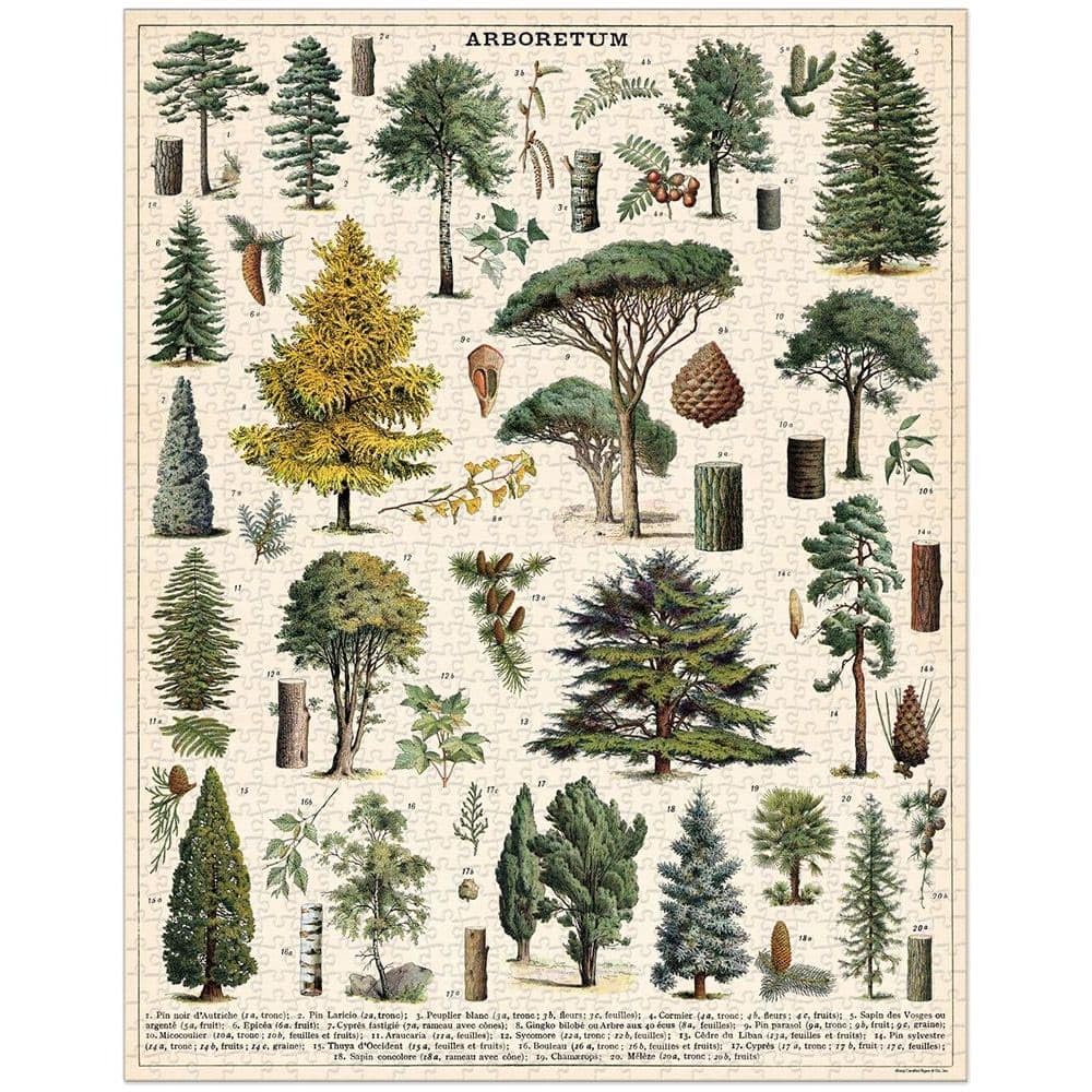 CAVALLINI PAPERS & CO. PZL/Tree Arboretum — Puzzle 1000 pièces – Image 7