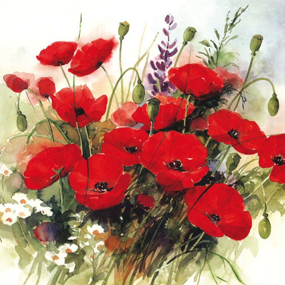 AMBIENTE — Serviettes en papier 3 plis x20 coquelicots – Image 4