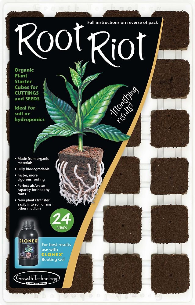 ROOT RIOT — Plateau de 24 cubes
